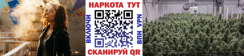 Купить закладку Галлюциногенные грибы  Мефедрон  Cocaine  ГАШ  Марихуана  Альфа ПВП  Новосокольники
