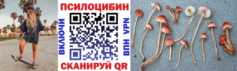Галлюциногенные грибы Cubensis Новосокольники
